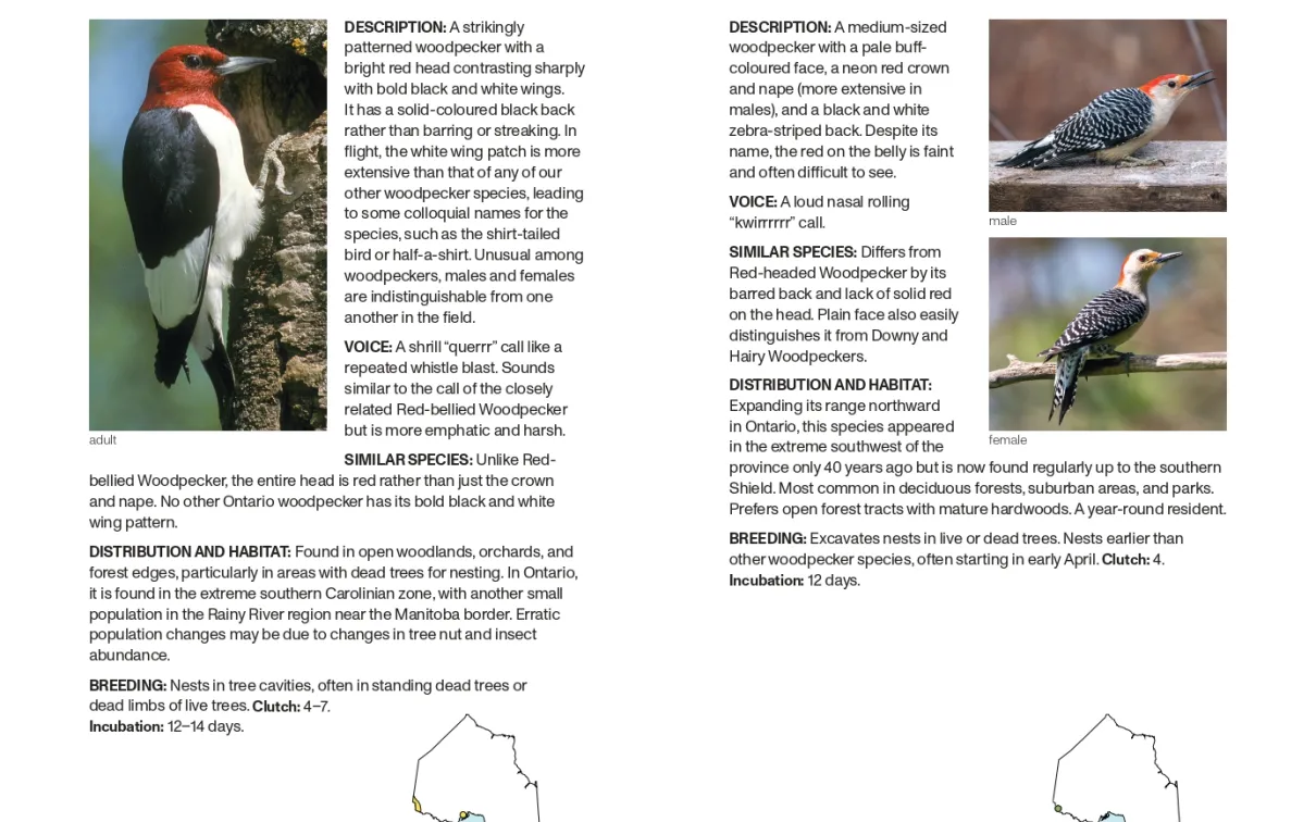 A Field Guide to Birds of Ontario | Royal Ontario Museum